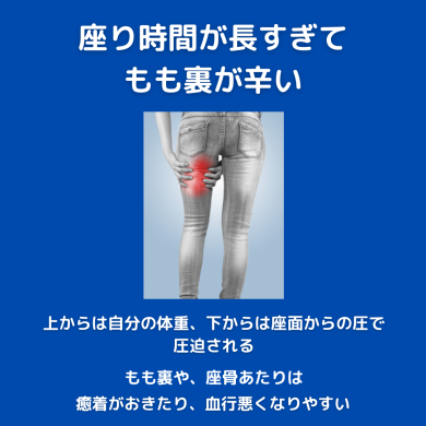 【Wiki風】 尻 に 敷 かれる 2026年最新芸能速報 #962