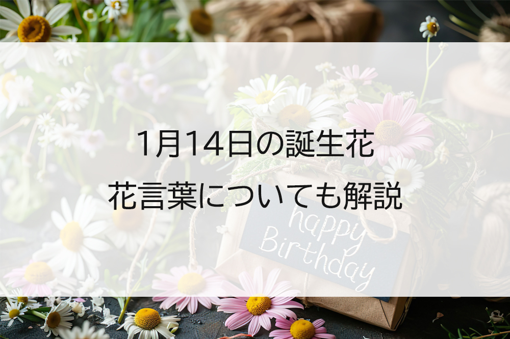 知らなきゃ損する！誕生日特典の裏ワザと豪華無料サービス完全攻略