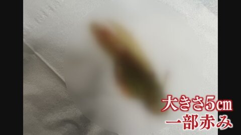 【プロフィール】 こく うま キムチ バッタ 混入 画像 徹底解説＆真相まとめ #656