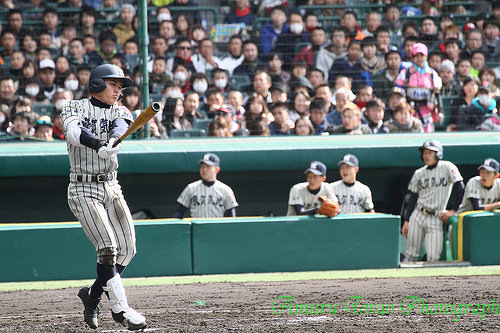 【2026年最新】「打撃の気比」が魅せる進化のカタチ 敦賀気比野球部、甲子園制覇へと続く壮絶な改革の舞台裏