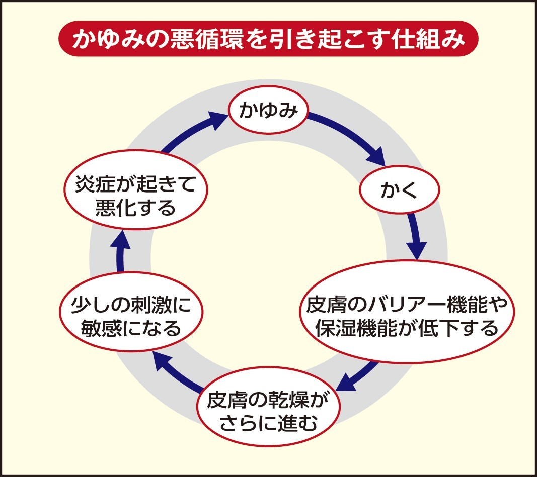 皮膚の痒みは肝臓のSos？湿疹なき異変の正体と2026年最新対策