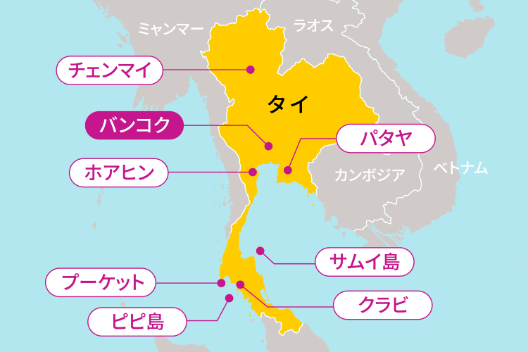 タイパと節約を両立！2026年に「イワシの丸ごと一匹買い」を選ぶ人が急増する納得の理由